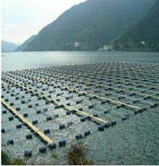 养殖水检测